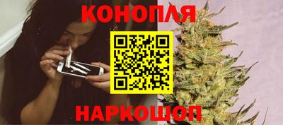 сатива Будённовск
