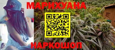 сатива Будённовск