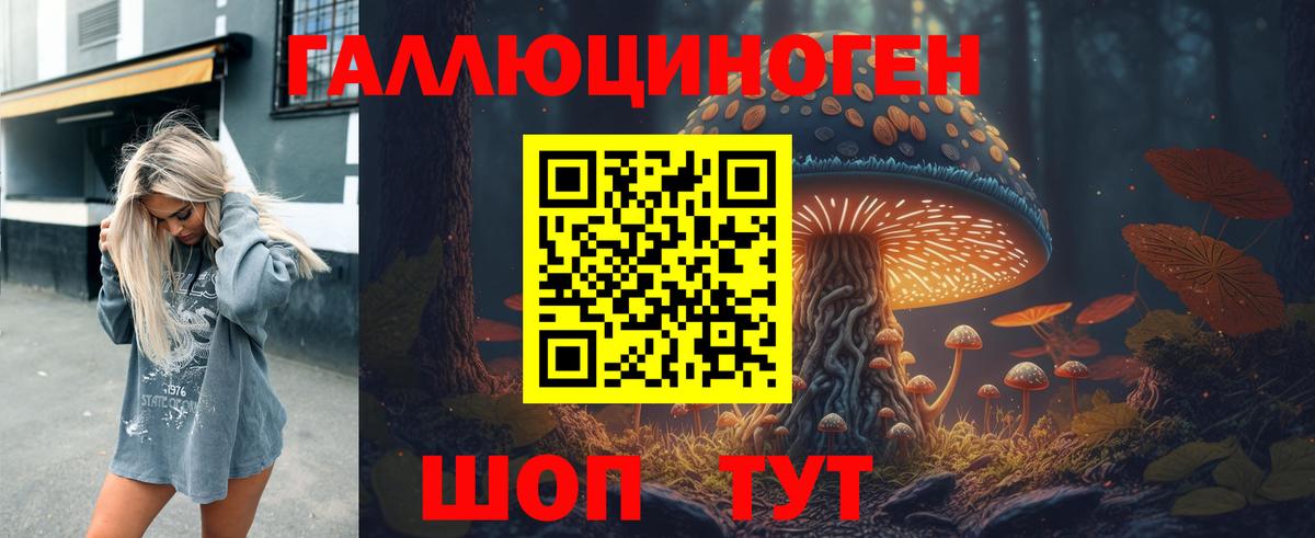Псилоцибиновые грибы Cubensis  Псилоцибиновые грибы Psilocybine cubensis  Тула  Вход с VPN 
